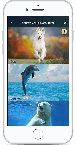 iPhone Front Portrait 